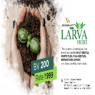 Larva Fight
